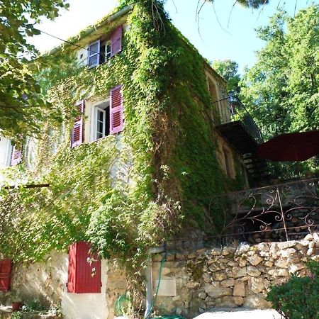 Appartement de 2 chambres avec jardin clos et wifi a Feliceto Extérieur photo