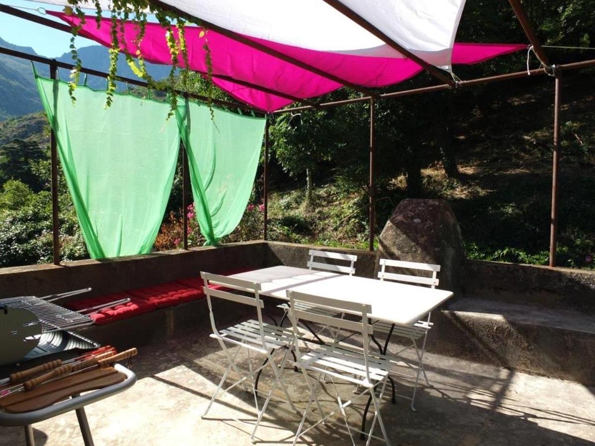 Appartement de 2 chambres avec jardin clos et wifi a Feliceto Extérieur photo