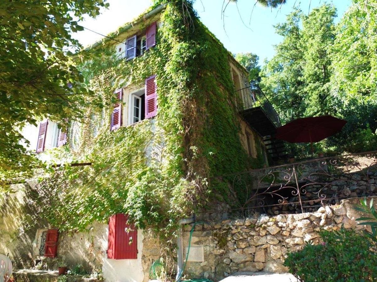 Appartement de 2 chambres avec jardin clos et wifi a Feliceto Extérieur photo